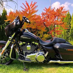 Harley Davidson street glide special, 09.2014